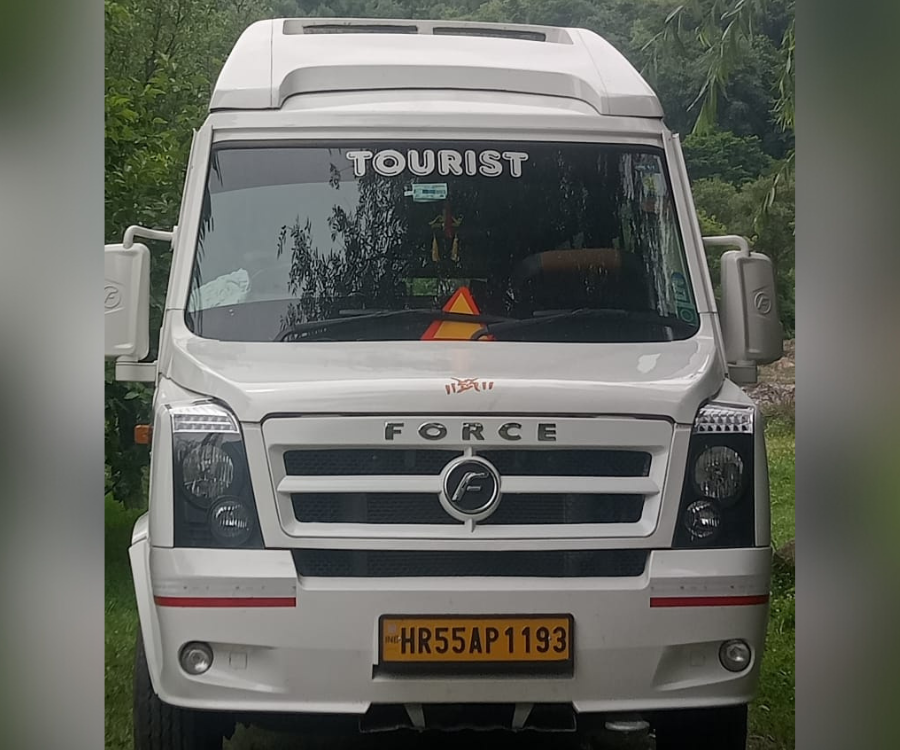 Untitled design (81)